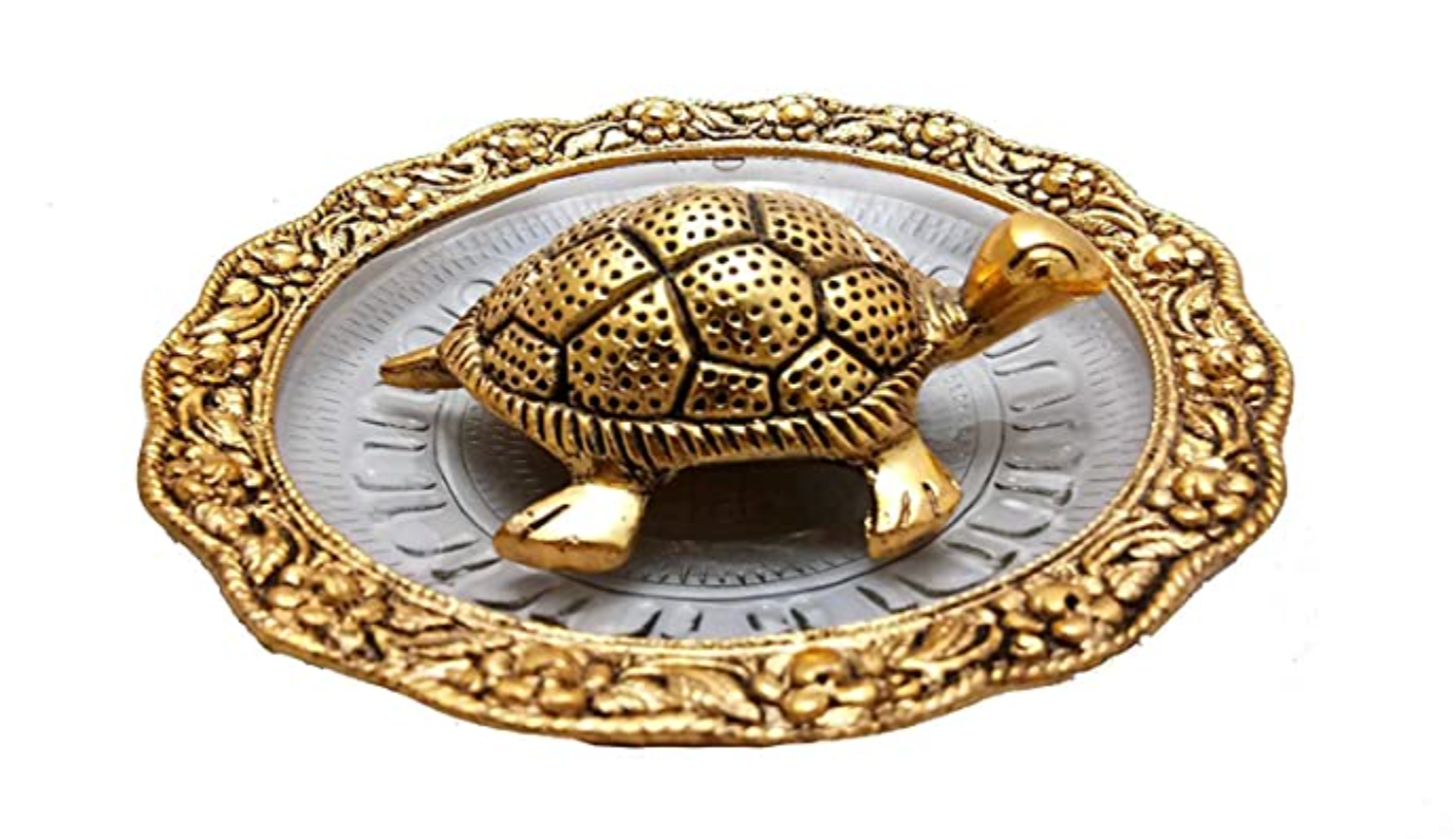 Tortoise with Glass Plate