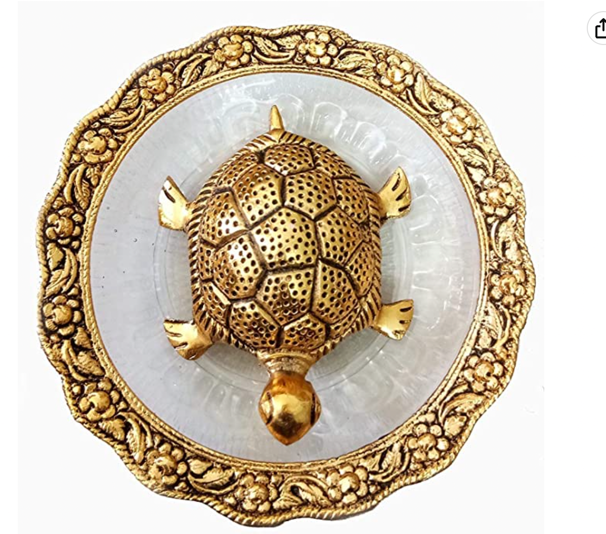 Tortoise with Glass Plate